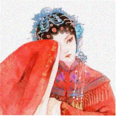 读者岸上青头像